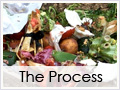 the-process-of-composting